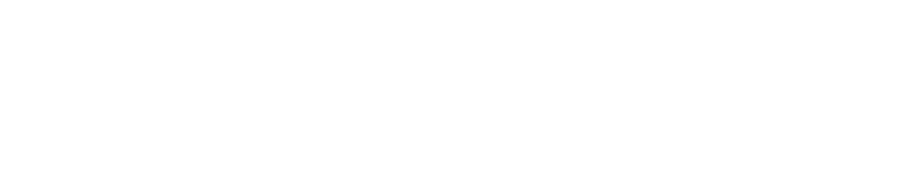 atNorth logo