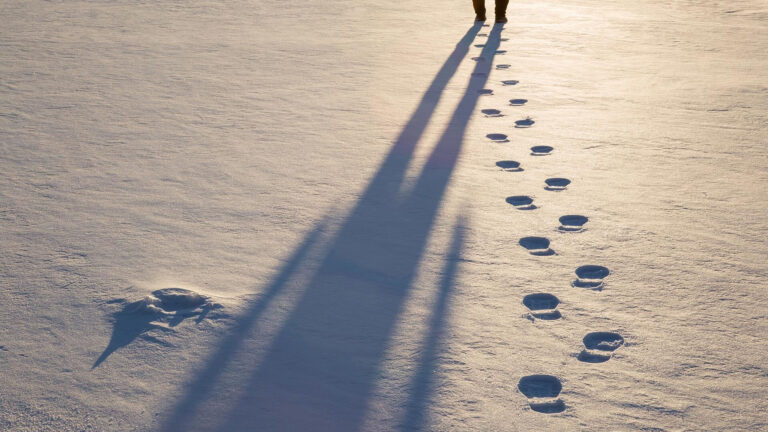 Person's shadow and footprints on snow-covered ground in sunlight.