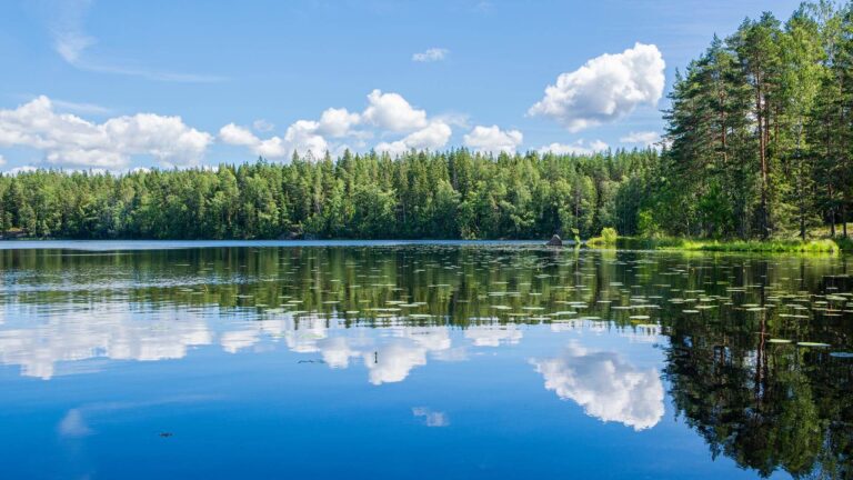 A serene lake reflects a clear blue sky and fluffy clouds, surrounded by dense green trees on a sunny day.