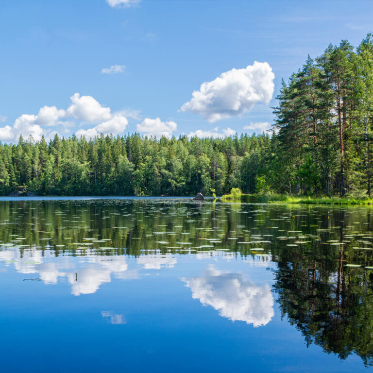 A calm lake reflecting clouds and a forest with pine trees under a blue sky offers a perfect metaphor for sustainable data centers, where technology harmonizes effortlessly with nature.