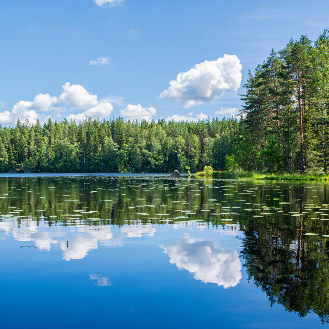 A calm lake reflecting clouds and a forest with pine trees under a blue sky offers a perfect metaphor for sustainable data centers, where technology harmonizes effortlessly with nature.