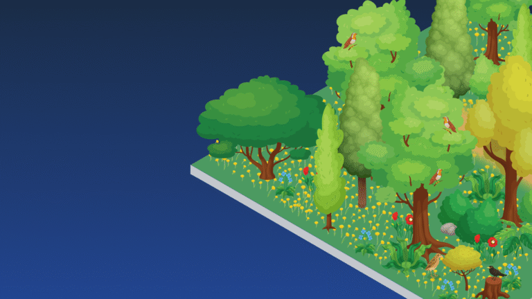 Isometric illustration of a forested area with various green trees, yellow flowers, dense foliage, and several birds perched in the branches.