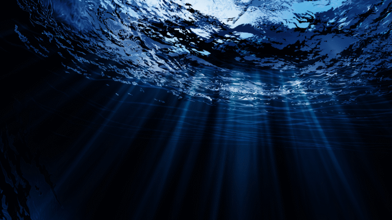 Sunlight beams filter through the surface of deep, dark blue ocean water, creating visible rays and illuminating the underwater scene.