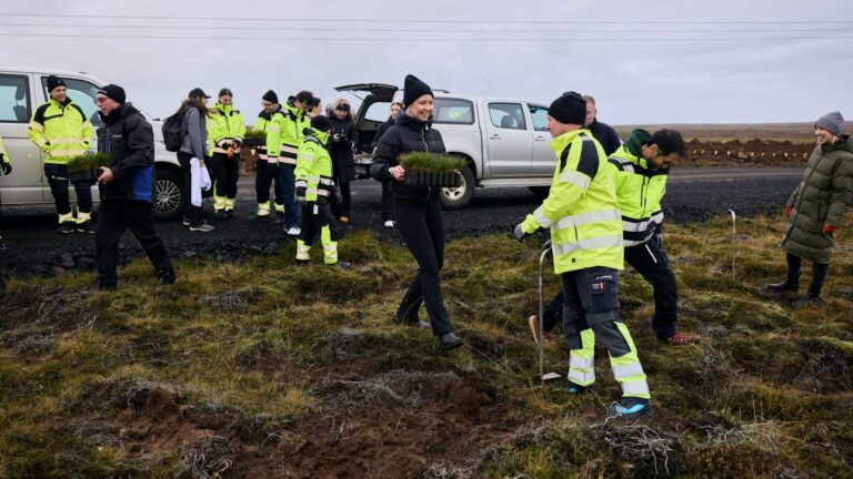 A group of people in reflective jackets plant small trees on grassy ground near parked vehicles under a cloudy sky.