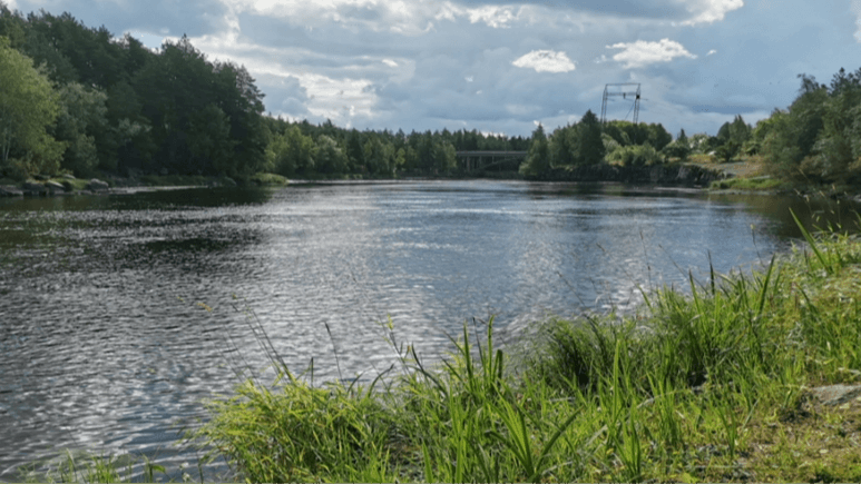 A calm river bordered by green grass and trees under a partly cloudy sky, with a bridge and power lines visible in the background.