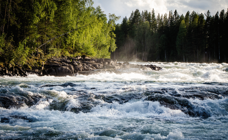 A fast-flowing river with white water rapids runs through a forested area, as seamless as AI-ready data centers powering innovation beneath a partly cloudy sky.