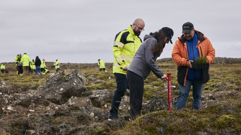 A group of people wearing high-visibility jackets planting tree seedlings in a rocky, mossy landscape.